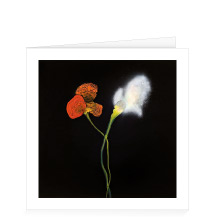 carte de voeux 2025 - Thierry Feuz