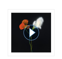 ecard 2025 - Thierry Feuz